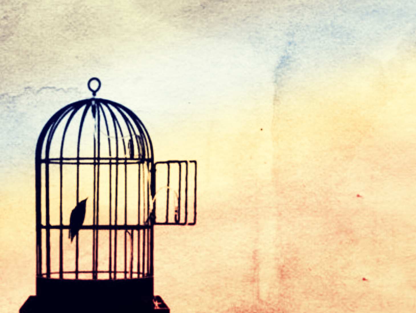 CUANDO PODER VOLAR NO SIGNIFICA SER LIBRES