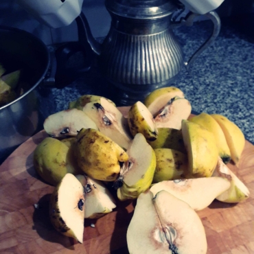 MISIONMEMBRILLOSSGM (1)