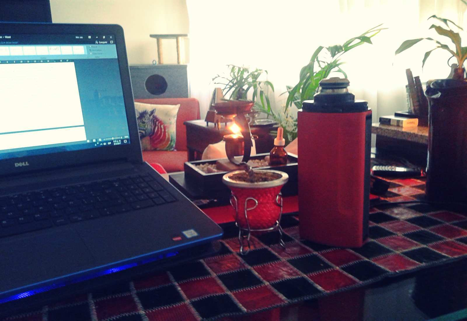 DE EMOCIONES, ESPINOZA Y OTRAS YERBAS…