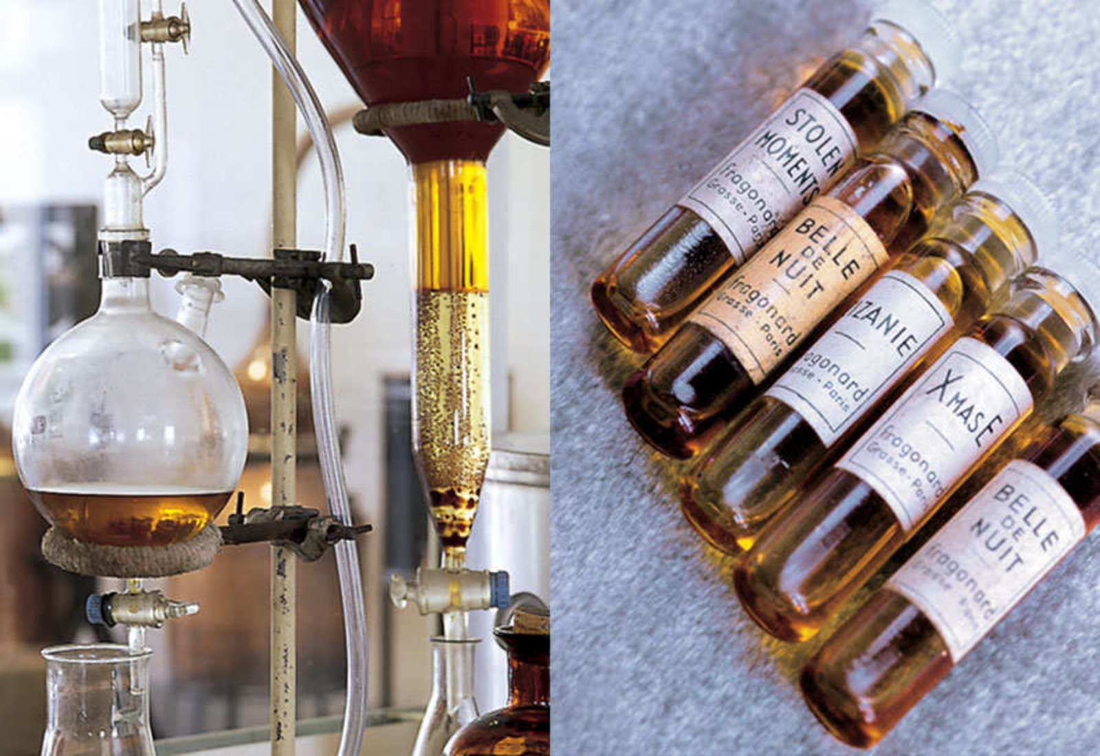 POR QUÉ LOS ACEITES ESENCIALES SON TAN COSTOSOS