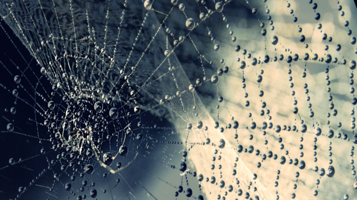 not_878890_10_213615