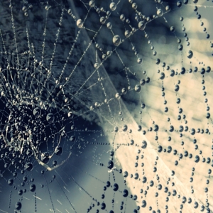 not_878890_10_213615