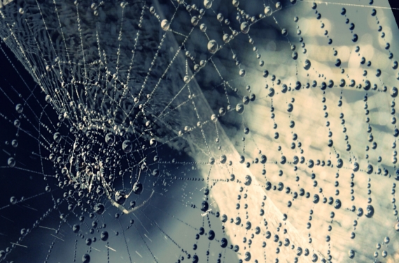 not_878890_10_213615