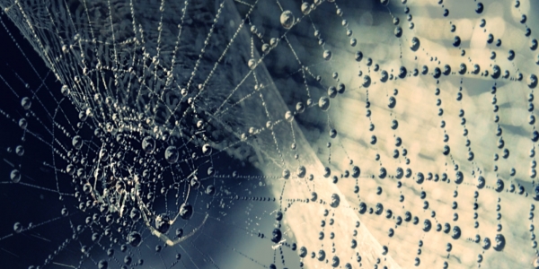 not_878890_10_213615