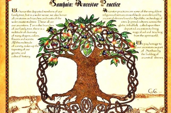 14937220_1299081620124728_8956886631453937737_n