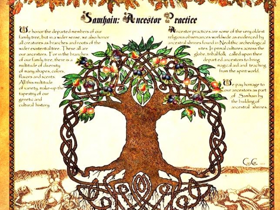 14937220_1299081620124728_8956886631453937737_n