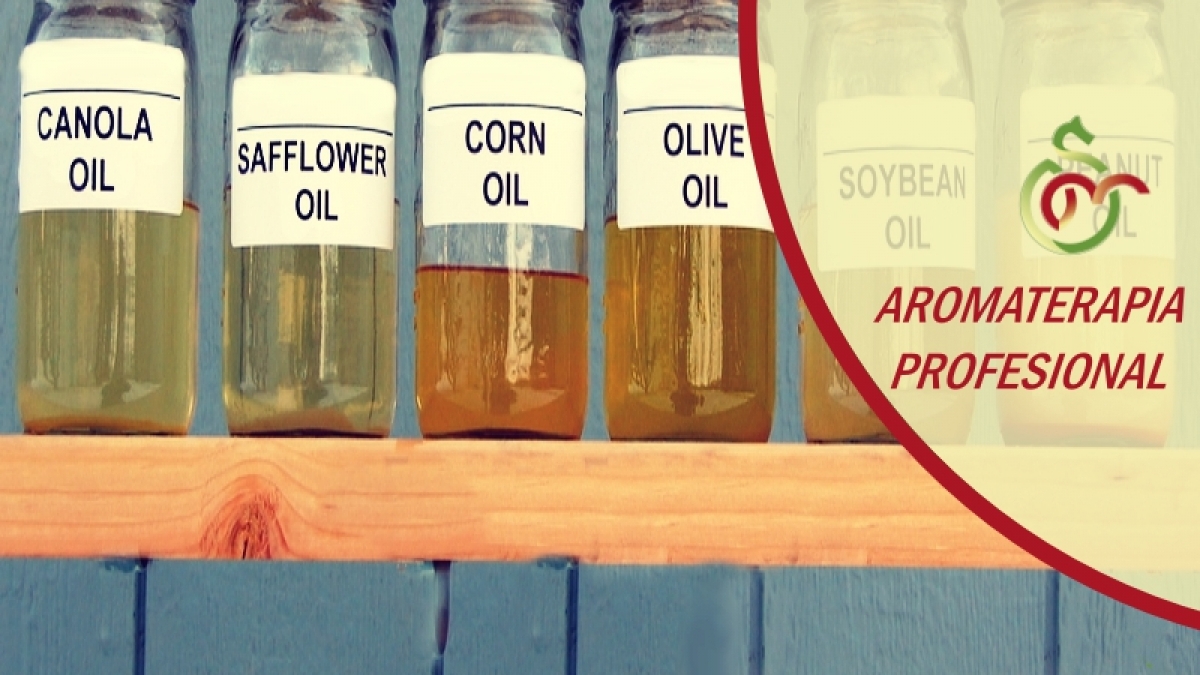 2008_12_23_biogelling_1026_208