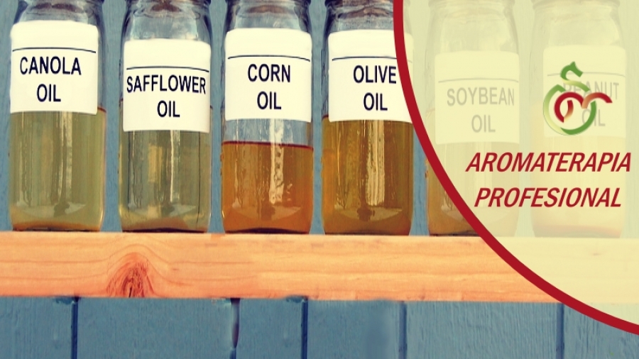 2008_12_23_biogelling_1026_208