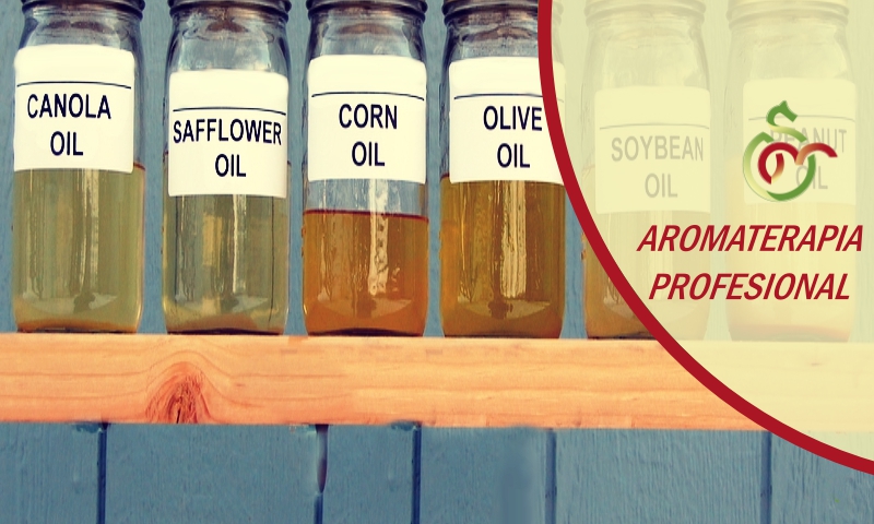 VEHÍCULOS DE APLICACIÓN (Parte I)