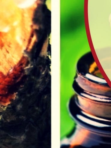 aceite-de-copa_thumb