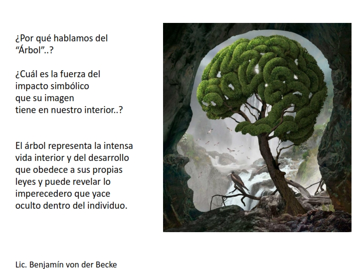 Taller del 'Arbol_002