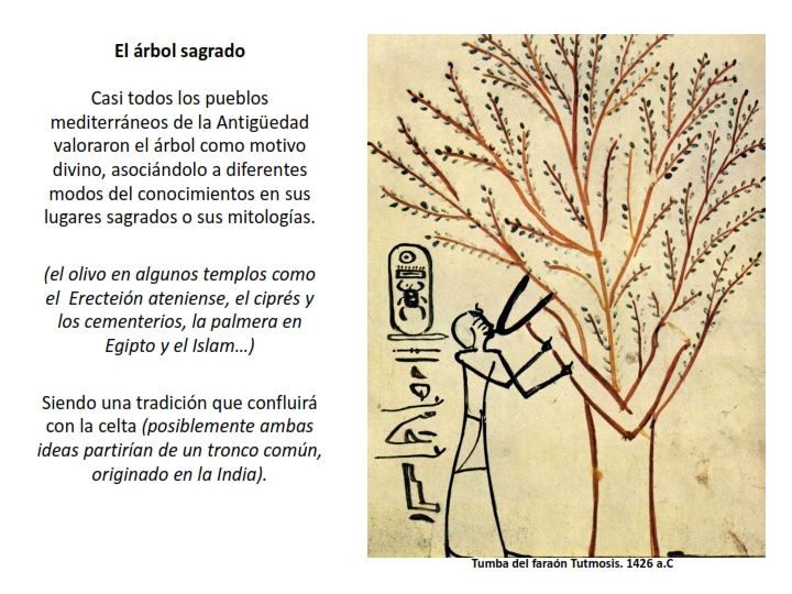 Taller del 'Arbol_003