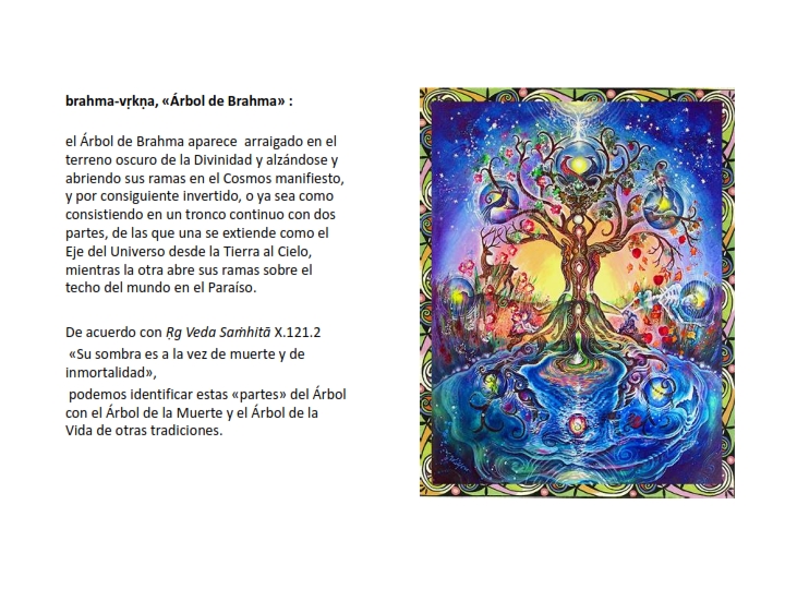 Taller del 'Arbol_011