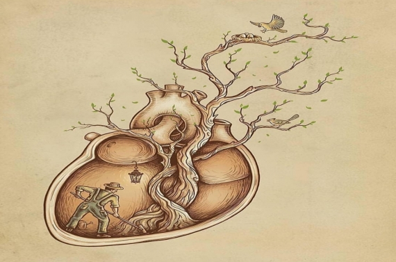 13872924_1093464690692336_4254302670738016075_n1