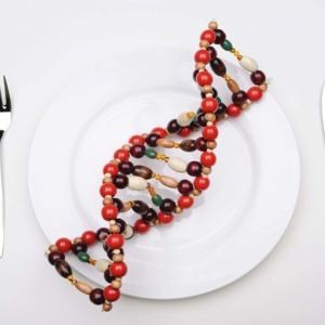 EPIGENÉTICA-Y-NUTRICIÓNSGM