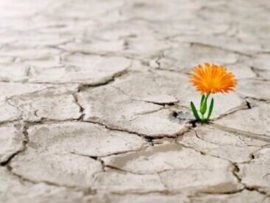 ResilienciaSGM