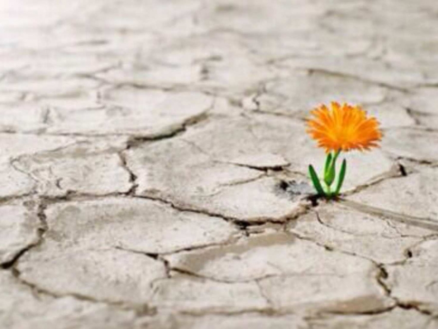 ResilienciaSGM