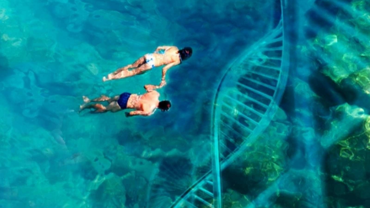 ecología-de-la-emoción(FILEminimizer)