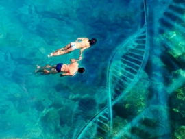 ecología-de-la-emoción(FILEminimizer)