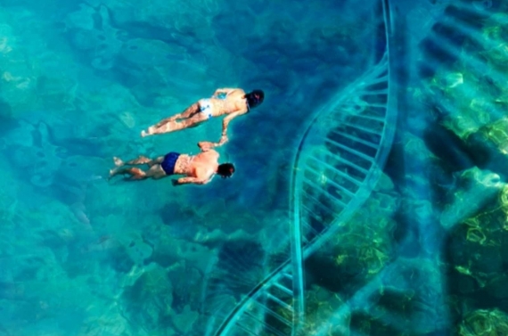 ecología-de-la-emoción(FILEminimizer)