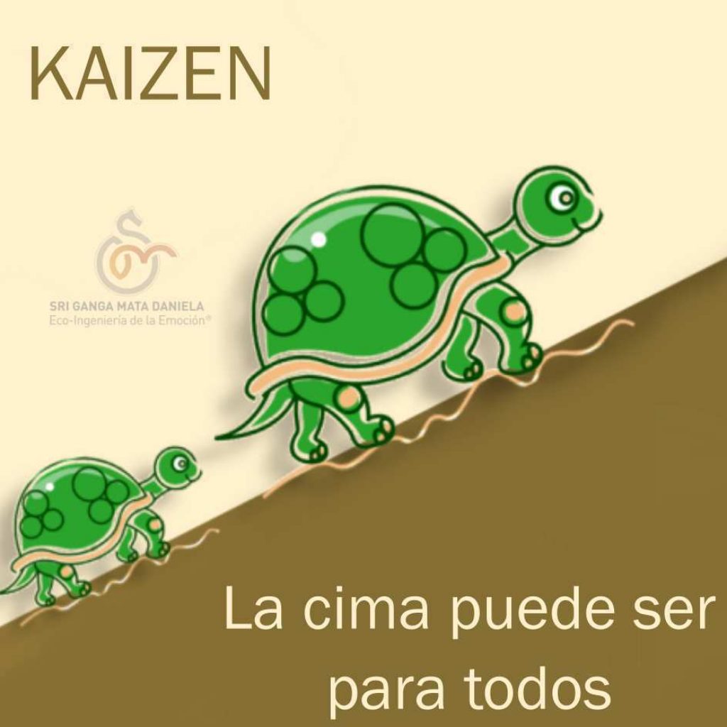 KAIZEN SGM (2)