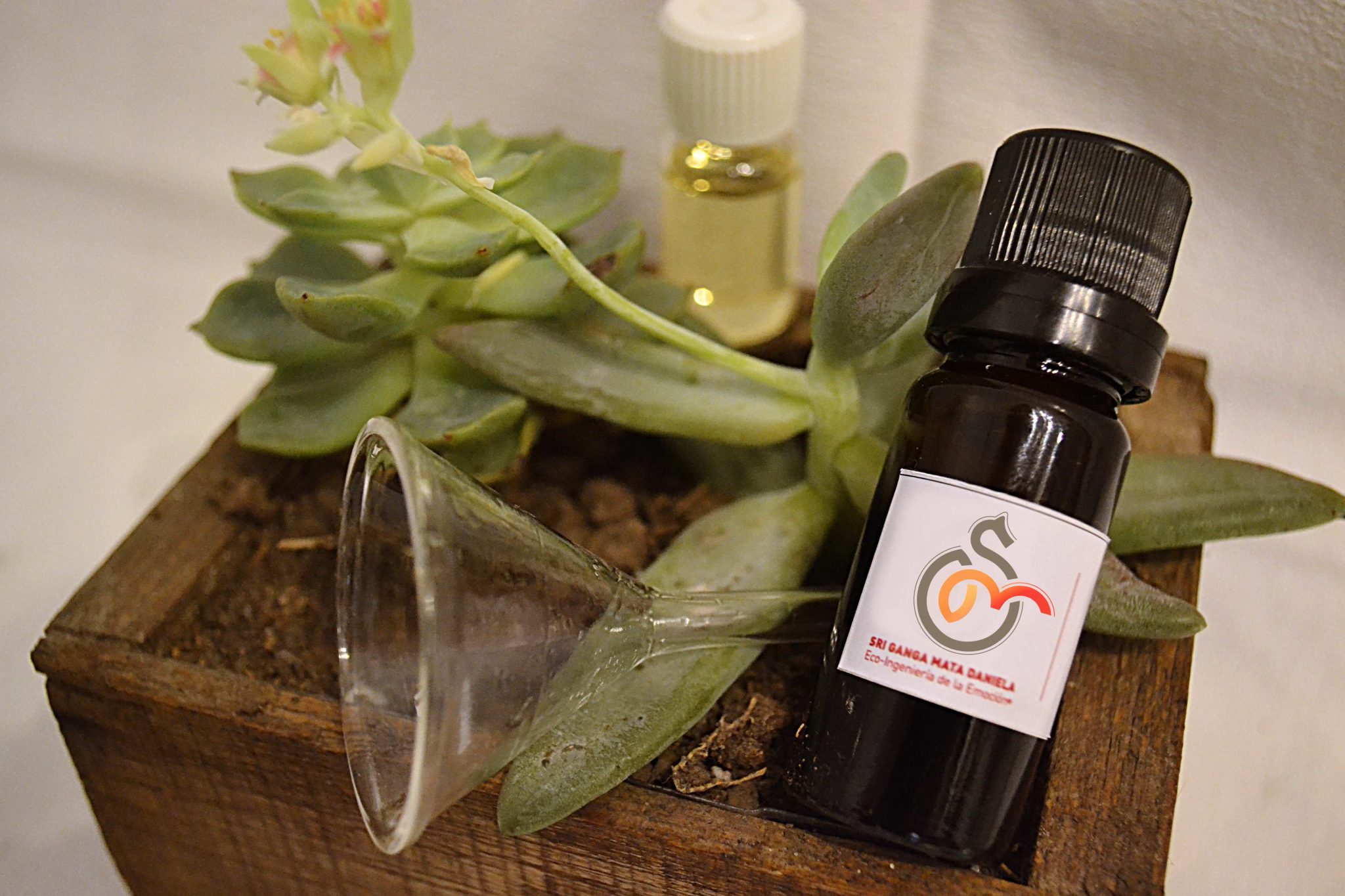 ÓLEO 33 Mucho más que dos