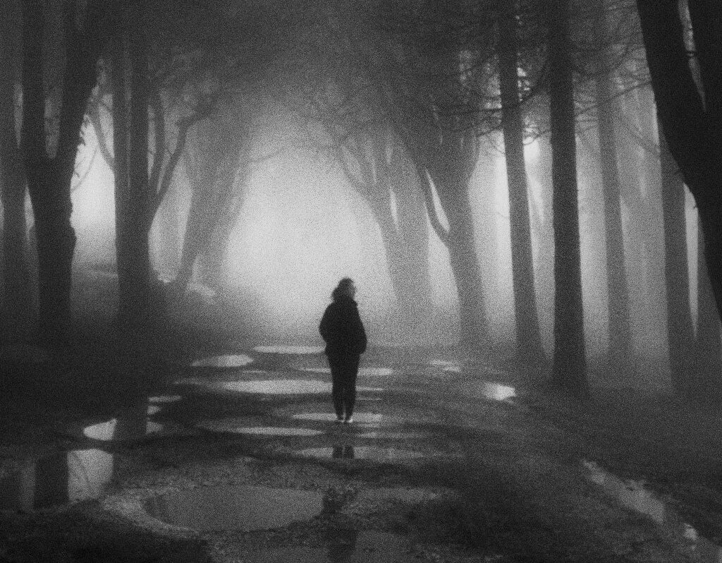 pexels-joão-cabral-3304855