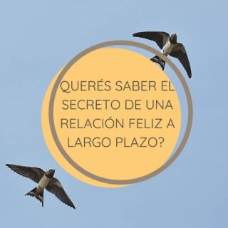 “El verdadero amor nace de la admiración" ❤️ 👉🏼 #Platón explica, que las cualidades que una persona admira en los demás son aquellas que le hacen falta. 👉🏼 Al #compartir con alguien con estas características positivas, el comportamiento se puede moldear para mejor y en algunos casos emular lo correcto y lograr la #realización. ✔️ La persona correcta impulsará tu crecimiento intelectual y social, hará que el mundo sea más sencillo de entender y a estar más cerca de lo que el filósofo llamó Eudamonia. ✔️ Una pareja ideal, te seducirá a ser mejor y te motivará a continuar creciendo y aprendiendo, o al menos, eso pensaba Platón. 🙏 La esencia de amar a un ser como lo que es y lo que puede llegar a ser, es la fuerza más poderosa del mundo.🙏 👉🏼 Visita nuestra web para conocer todas las herramientas que podes sumar a tu vida: https://sgmcoaching.net/ . . .⁣⠀﻿⁠ .⁣⠀﻿⁠ .⁣⠀﻿⁠ .⁣⠀﻿⁠ .⁣⠀﻿⁠ .⁣⠀﻿⁠ #coaching #inteligenciaemocional #coachinglife #empoderamiento #mentoring #autovaloracion #recursosinternos #enfoqueholistico #coachingespiritual #elmomentoesahora #maitri #neuroplasticidad #registrosakáshicos #ecologiaemocional #sofrologia #brainfitness #liberatupotencial #selfrespect #neurocoaching #concoachingesmejor #coachdevida #autoconfianza #atencionplena #manejodeemociones
