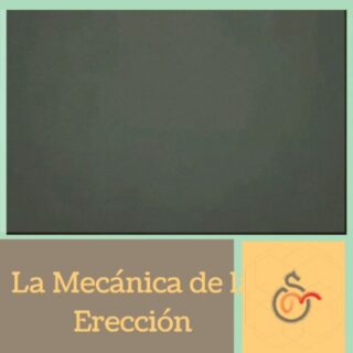 el cerebro crea redes a partir de la memoria: ideas, sentimientos, emociones. Cada asociación de ideas o hechos, incuba un pensamiento o recuerdo en forma de conexión neuronal, que desemboca en recuerdos por medio de la memoria asociativa. A una sensación o emoción similar, reaparecerá ese recuerdo en forma de idea o pensamiento. Hay gente que conecta “amor” con “decepción” o “engaño”, así que cuando vaya a sentir amor, la red neuronal conectará con la emoción correspondiente a cómo se sintió la última vez que lo sintió: ira, dolor, rabia, etc. Según Joe Dispenza: “Si practicamos una determinada respuesta emocional, esa conexión sináptica se refuerza y se refuerza.  Cuando aprendemos a “observar” nuestras reacciones y no actuamos de manera automática, ese modelo se rompe”.  Así pues, aprender a “ver” esas asociaciones es la mejor manera de evitar que se repitan: La llave es la Conciencia Presente La atención enfocada en el sentido de los nuestras acciones, actitudes y  pensamientos en relación la mejor versión del ideal de nosotros mismos, y la brecha que nos separa de lograrlo. Estoy para entrenar tus pensamientos para que se pongan al servicio de lograr tus objetivos. CONVERSEMOS . . https://m.facebook.com/SriGangaMataDaniela⁠ .⁣⠀﻿⁠ .⁣⠀﻿⁠ .⁣⠀﻿⁠ .⁣⠀﻿⁠ .⁣⠀﻿⁠ .⁣⠀﻿⁠ .⁣⠀﻿⁠ #coaching #inteligenciaemocional #coachinglife #empoderamiento #mentoring #autovaloracion #recursosinternos #enfoqueholistico #coachingespiritual #elmomentoesahora #maitri #neuroplasticidad #registrosakáshicos #ecologiaemocional #sofrologia #brainfitness #liberatupotencial #selfrespect #neurocoaching #concoachingesmejor #coachdevida #autoconfianza #atencionplena #manejodeemociones